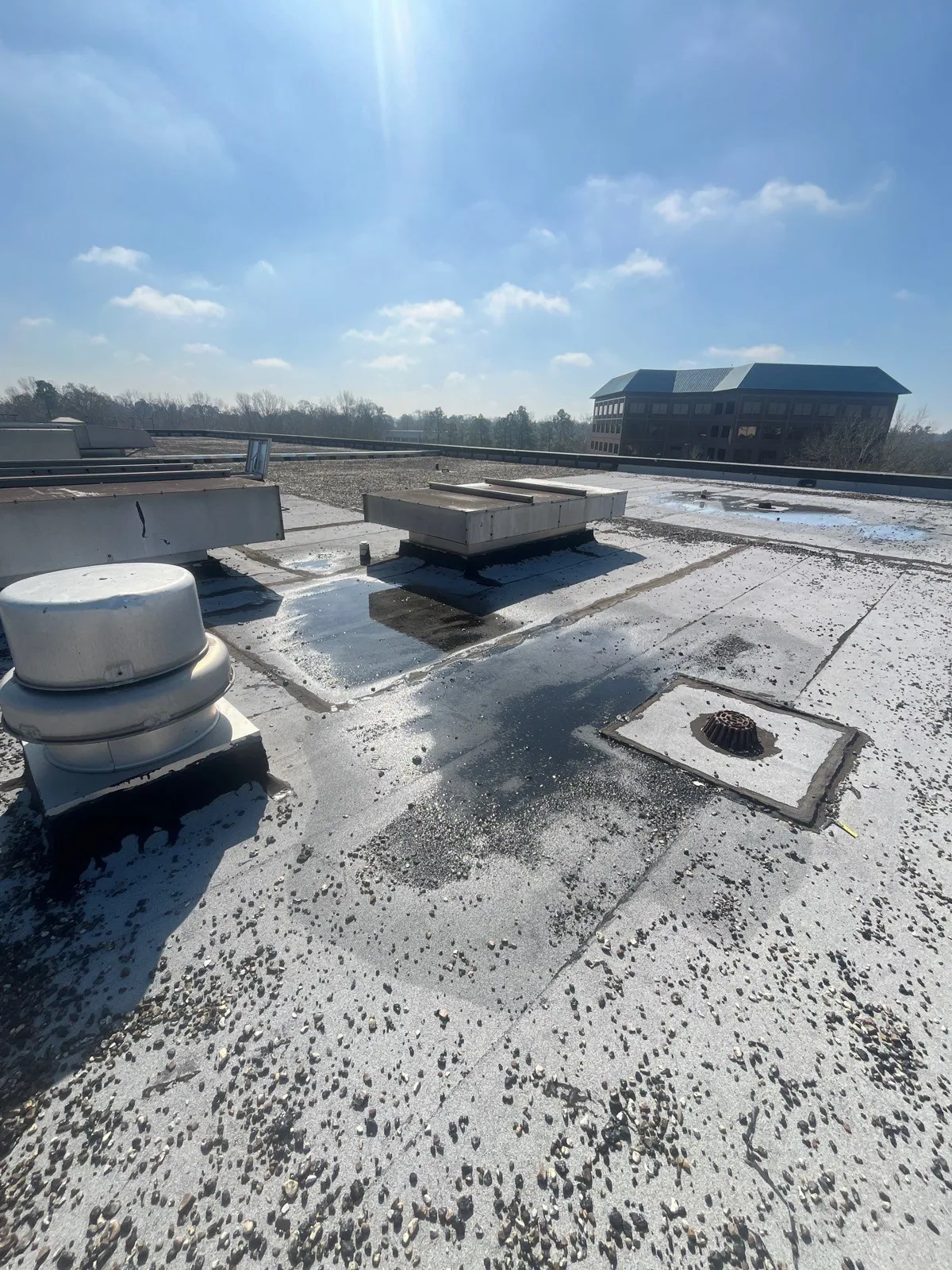Commercial Ponding Water Roof Repair in Thornton, CO