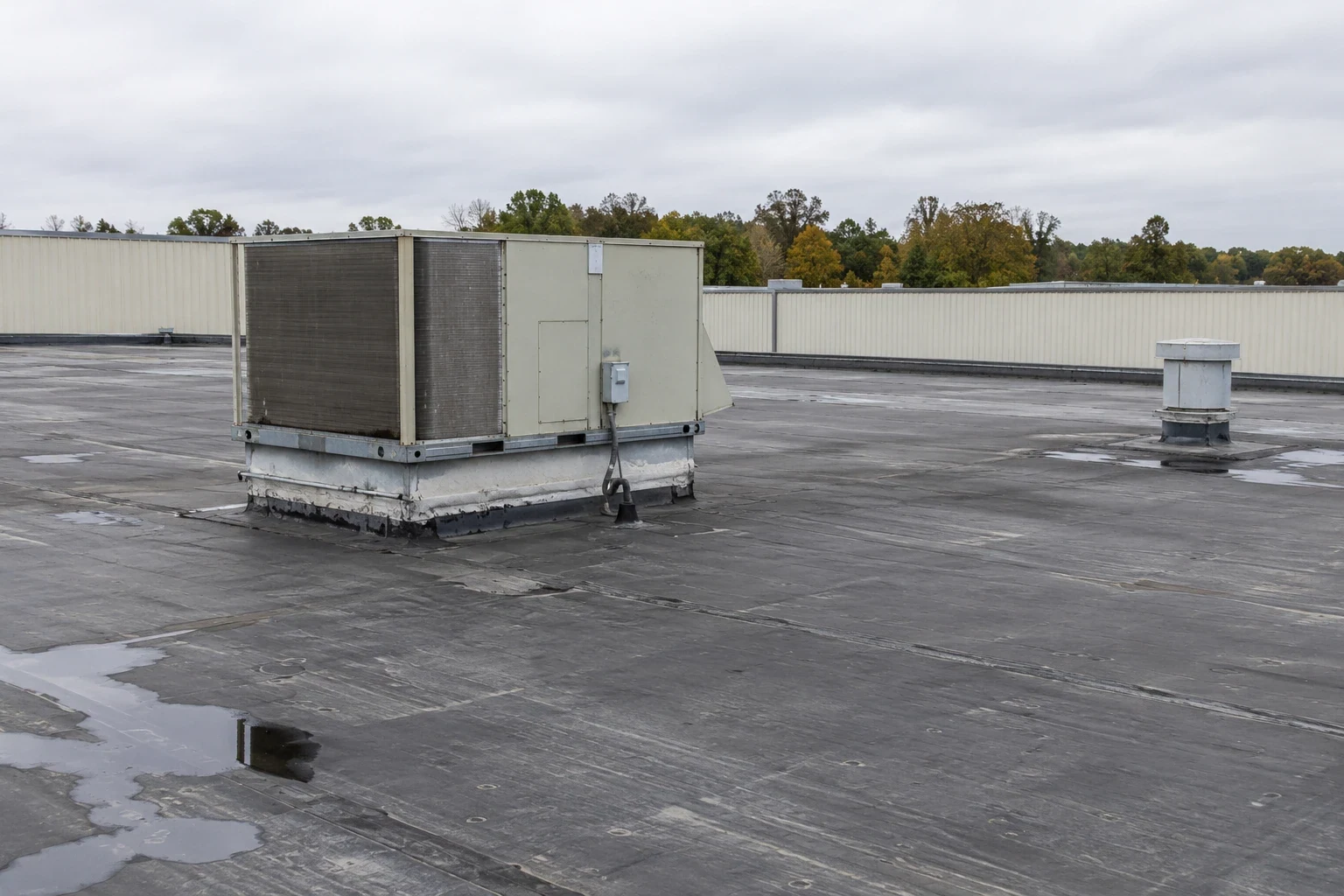 Manufacturing Plant Roofing in Thornton, CO